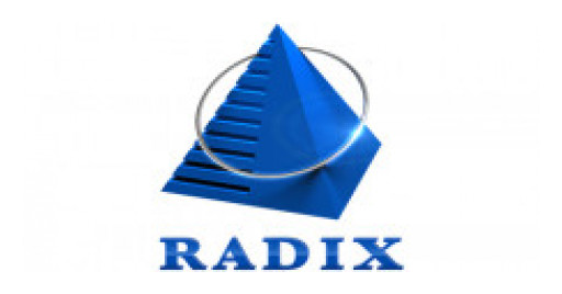 Radixweb Steers Continued Innovation for 21 Years