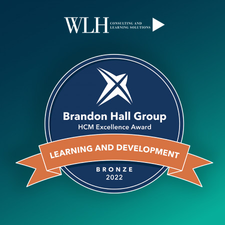 Brandon Hall Group Bronze Award