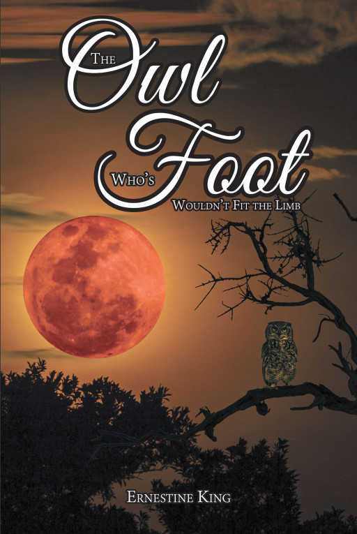 Ernestine King's New Book, 'The Owl Whose Foot Wouldn't Fit the Limb' is an Enthralling Story of a Young Girl With Abandonment Issues Who Tries to Find Hope Despite It