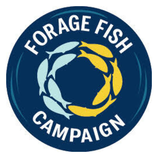National Coalition Launches Forage Fish Campaign to Protect America's Waters, Coastal Economies, and Marine Ecosystems