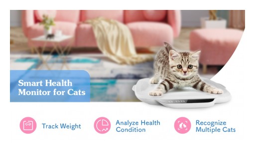 CatLink Announces Launch of WeCare - A Smart 24/7 Health Monitor for Cats