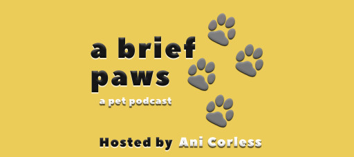 A Brief Paws Pet Podcast Returns for Season Two