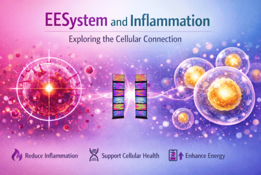 EESystem and Inflammation: Exploring the Cellular Connection