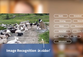 Image recognition for videos and photos