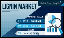 Lignin Market Forecasts 2019-2025 