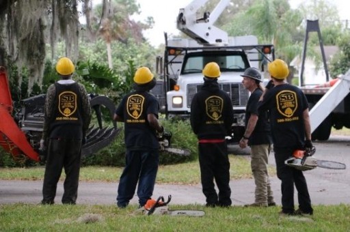 Tree Removal Experts Bring Hurricane Relief Work to Texas and Louisiana