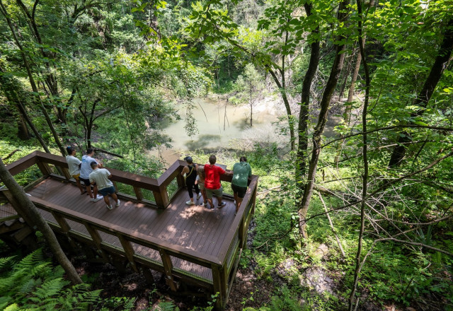Devils Millhopper Geological State Park - Credit Sara Sheehy Live Wildly