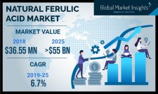 Natural Ferulic Acid Market Forecasts 2019-2025 