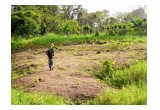 Coopecuan degraded farmland in Costa Rica