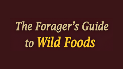 The Foragers Guide to Wild Foods
