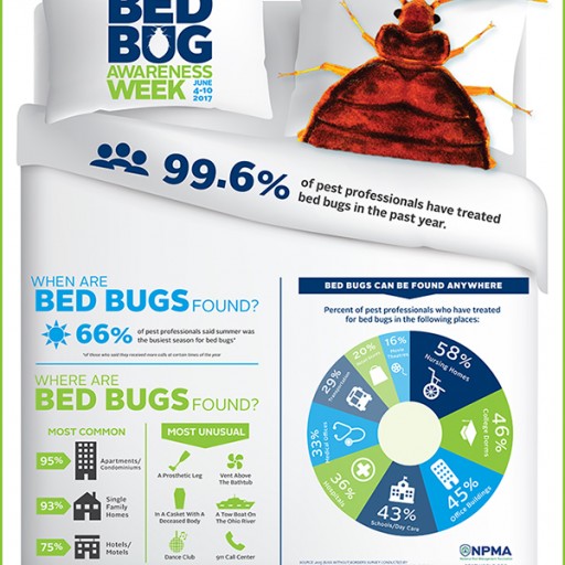 Avoid the Biting Burden of Bed Bugs This Summer