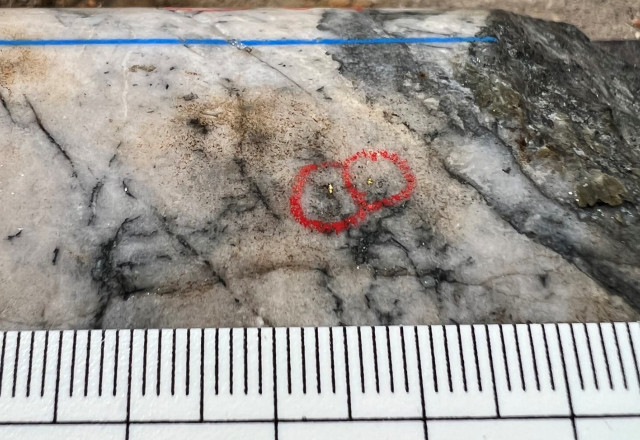 Mawson Gold Limited, Monday, November 21, 2022, Press release picture