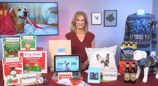 Holiday Gifts for Pets 