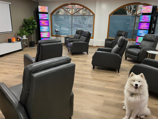 EESystem Pawsitive Energy