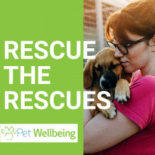 Pet Wellbeing Rescue the Rescues