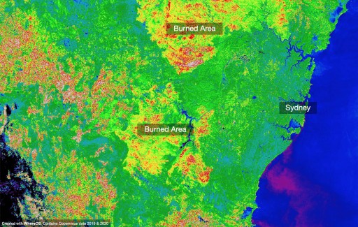 Australia Bush Fires in Sydney Visualized Using WhereOS Satellite Data Application
