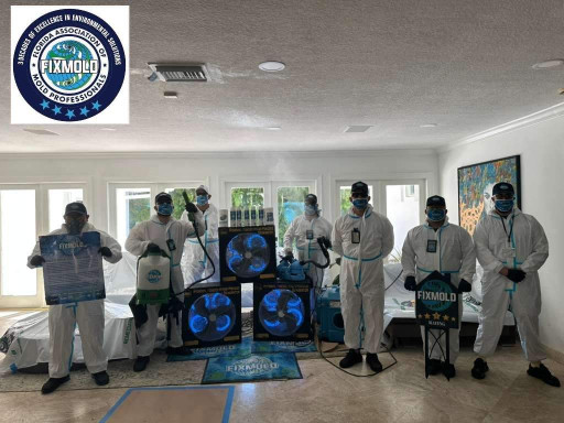 A New Era in Home Health: Inside FixMold's Next-Level Virtual Mold Assessment Technology