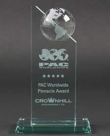 PAC Pinnacle Award Zoomed in 