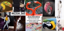 Moda 360 ethical fashion runway show to benefit the LA Zoo