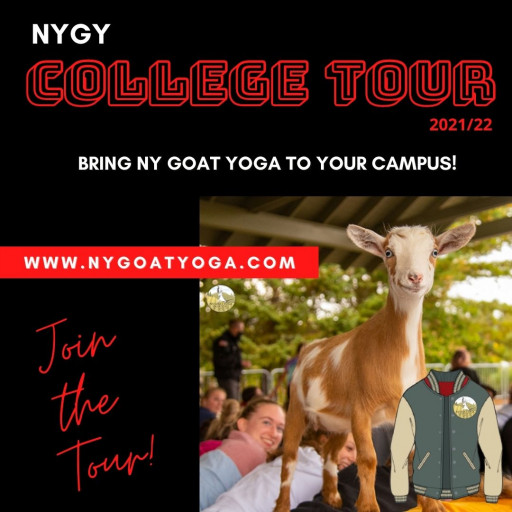 NY Goat Yoga Announces Northeast College Tour