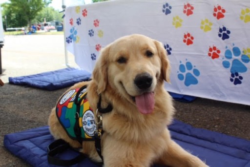 Service Dogs by Warren Retrievers Delivers Autism Service Dog to Center Valley, PA