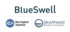 BlueSwell Logo