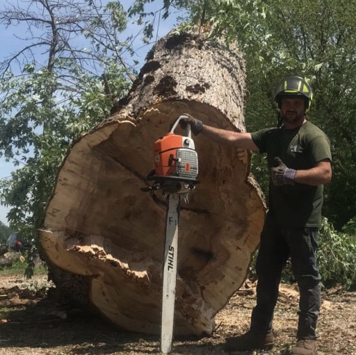 Windsor, McGraw Tree service has won the 2020 Three Best Rated® award for one of the Top Tree Services