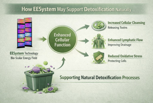 How EESystem May Support Detoxification Naturally