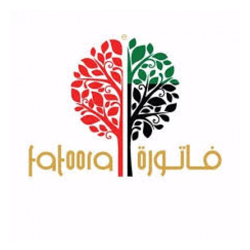 CEO of eFatoora Dubai and Success in the GCC