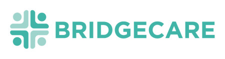 BridgeCare