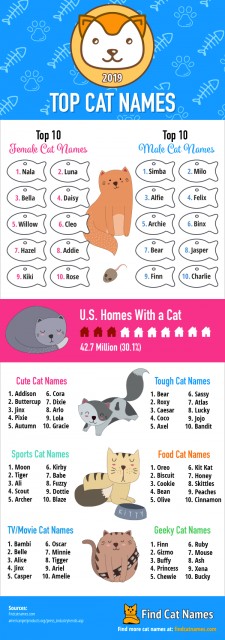 Top Cat Names of 2019