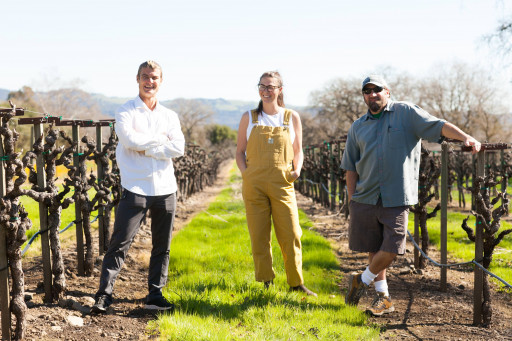 Taste Adventure: Meet Head High Wines - Sustainability, Stewardship, and Superb Sonoma Soils