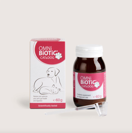 Omni-Biotic US Launches Omni-Biotic Cat & Dog: A Probiotic Solution for Feline and Canine Health