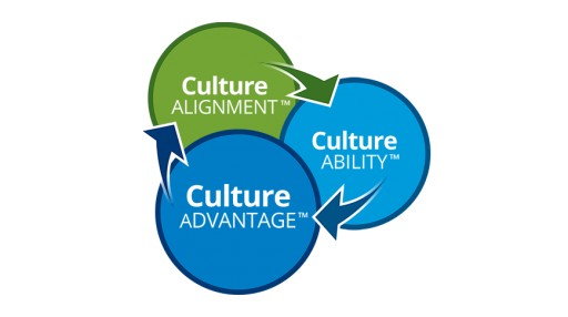 Global Culture Consulting Firm Experiences Lead Cultural Transformation Process