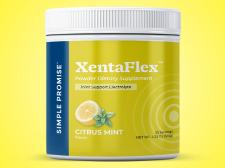 Simple Promise XentaFlex Review (2025)