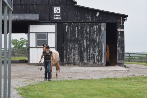 Greatmats Hosts 'Make My Barn Great' Photo Contest for New Stall Mats