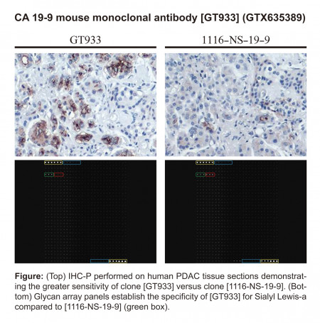 CA19-9 IHC and Glycan Array Data