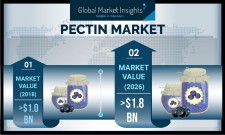 Global Pectin Industry 2019-2026 