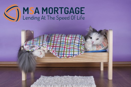MSA Mortgage, Encore Realty Sponsor Upcoming MSPCA 'Holding Out for a Hero' Cat Adoption Drive
