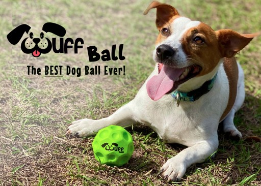 Wuff Ball, The World's Best Dog Ball, Now Available