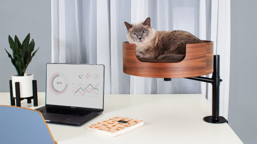 Desk Nest Cat Bed Achieves 2,500% of Funding Goal, Capturing Major Interest From Work-From-Home Cat Enthusiasts