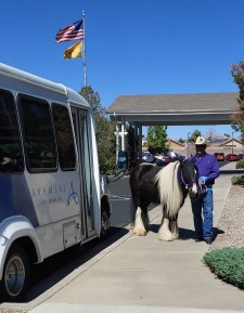 Poetry the Therapy Horse Visits Avamere at Rio Rancho