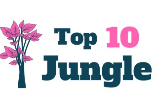 Top 10 Jungle