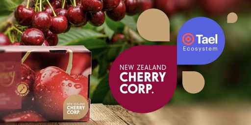 NZ Cherry Corp Partners With Techrock to Serve the China Market