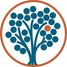 Scailyte's logo