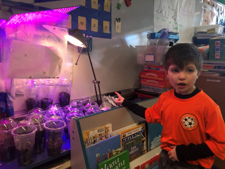 Students' Ideas Drive Teaching and Learning Science in Easton