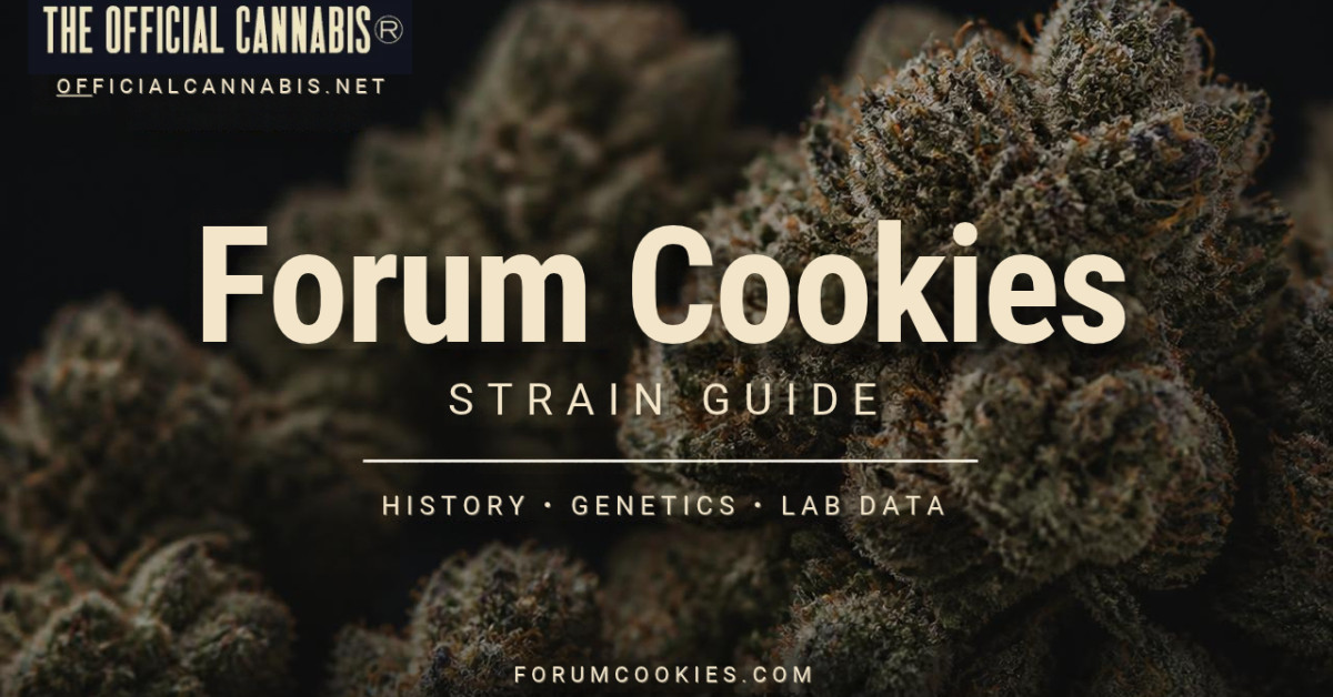Forum Cookies Strain Guide Examines the History of the GSC Forum Cut and Historical Lab Data