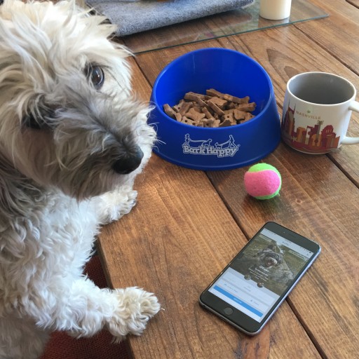 BarkHappy Mobile App for Dog Owners Reaches 60,000 Users; Announces Upcoming Events