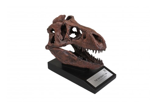 Toynk Toys Announces Upcoming Release for Smithsonian T-Rex Fossil Replica