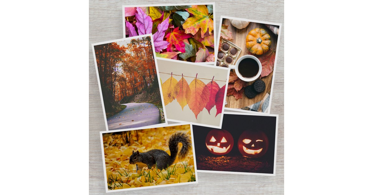 Fall Color Contest The Gallery Collection Announces 2020 Colors of Autumn Photo Contest ...